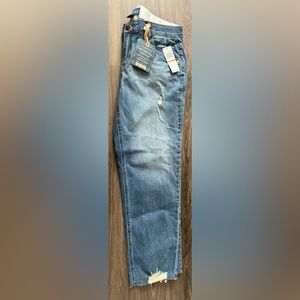 New Democracy pants